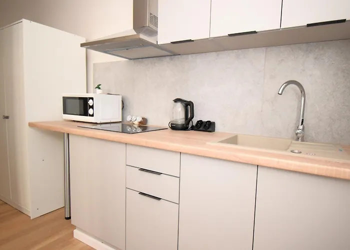 Roomspoznan Pl - Rybaki 29 - 24h Self Check-in Kwatera prywatna *